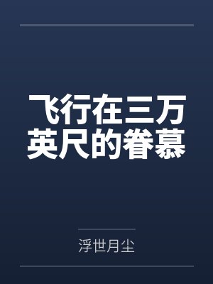 飞行在三万英尺的眷慕